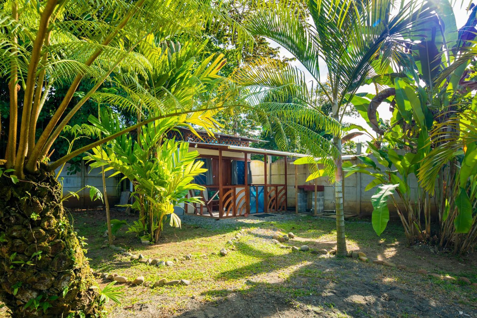 Casa Blanca Beachfront House With Shared Pool Access Pangea Lodge Manzanillo  Eksteriør billede