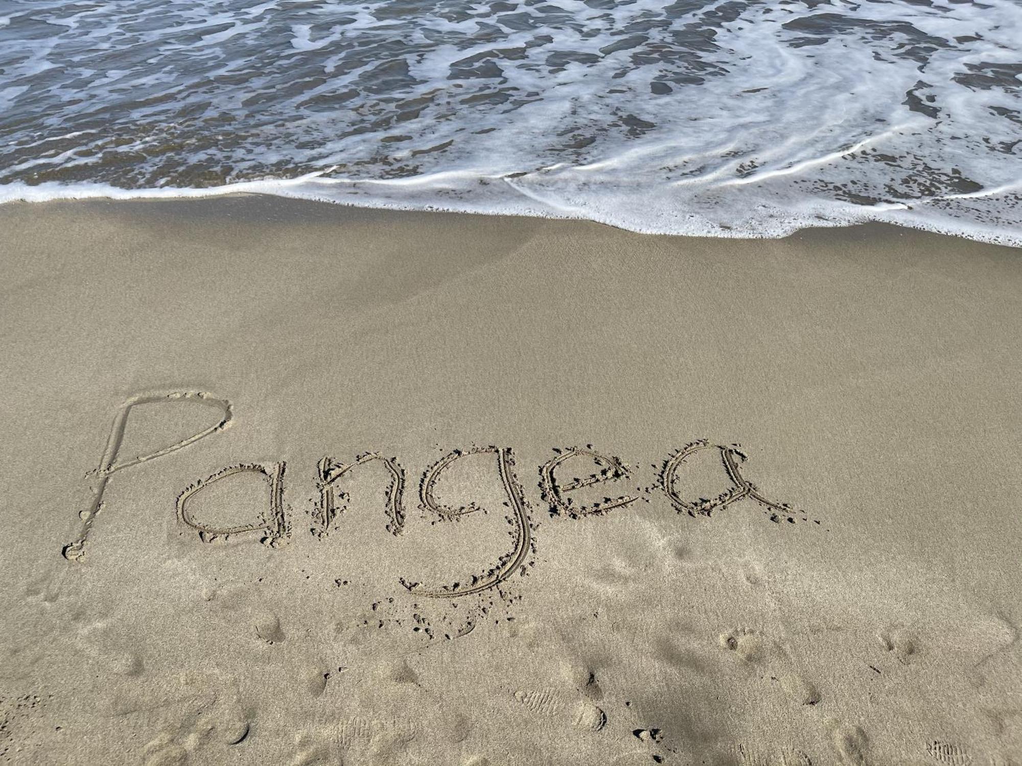 Casa Blanca Beachfront House With Shared Pool Access Pangea Lodge Manzanillo  Eksteriør billede